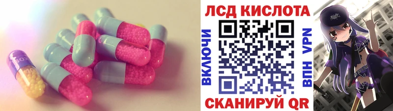 Купить закладки  Выборг  Лсд 25 экстази ecstasy 