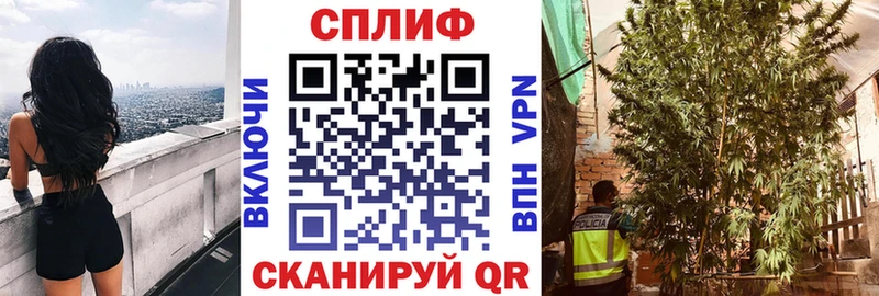 Конопля LSD WEED  Купить закладки  Выборг 
